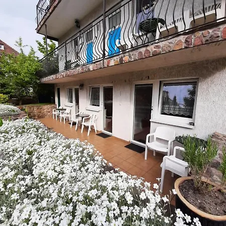 Zielony Domek Homestay *